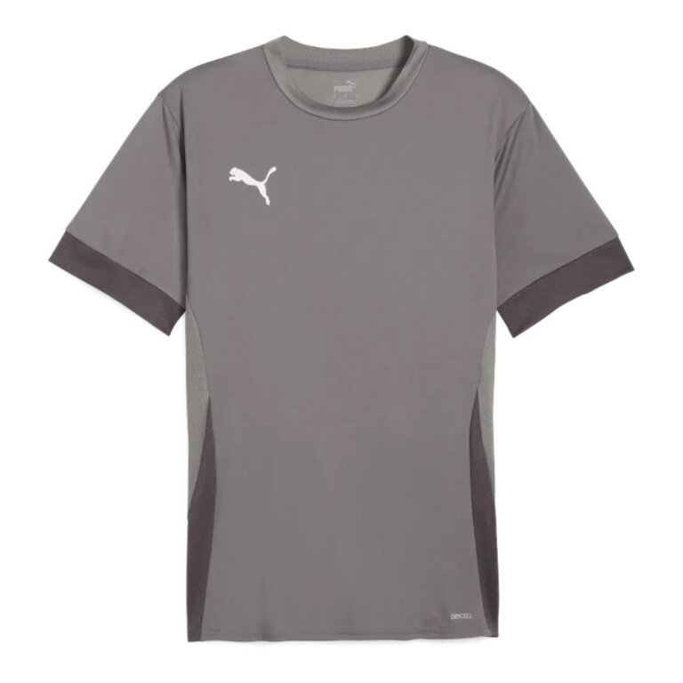 Puma Sports Shirt teamGOAL Matchday Jersey grey Men's