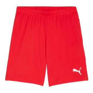 Puma Sports Shorts teamGOAL (100% recycled Polyester) short red men's