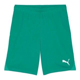 Puma teamGOAL Sports Shorts (100% recycled Polyester) short green men's