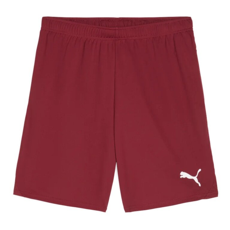 Puma Sports Shorts teamGOAL (100% recycled Polyester) short bordeaux red Men's