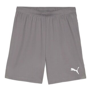 Puma Sports Shorts teamGOAL (100% recycled Polyester) short grey men's