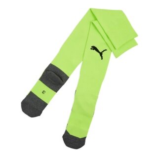 Puma TeamLIGA26 Core Light Green Knee Socks - 1 Pair