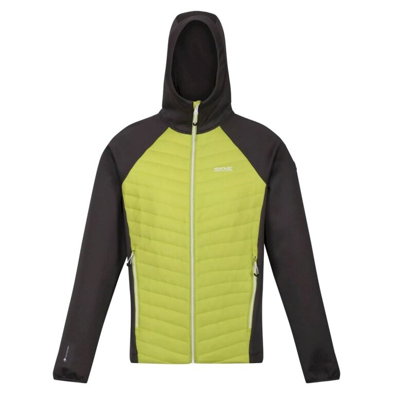 Regatta Hybrid Jacket Andreson VII (water-repellent, insulated) green Men