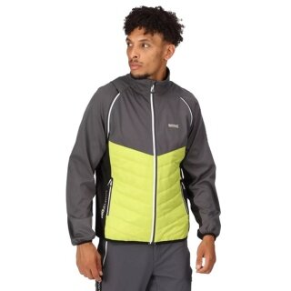 Regatta Softshell Jacket and Vest Steren (windproof, water-repellent) grey/lime Men