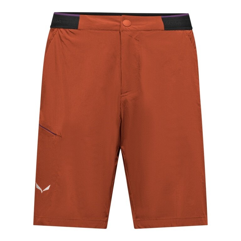 Salewa Pedroc Cargo 4 DST Short Hiking Trousers (breathable, lightweight) short brown men's