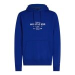 Tommy Hilfiger Hooded Sweatshirt Oval Graphic Hoodie (Cotton Blend) royal blue Men's