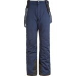 Whistler Winter Ski Trousers Gippslang Functional Ski Pant W-Pro 15000 (waterproof, windproof) navy blue men's