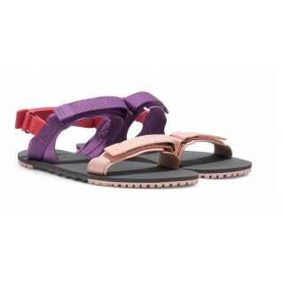 Xero Shoes D-Trail Sandal multi/colour ladies