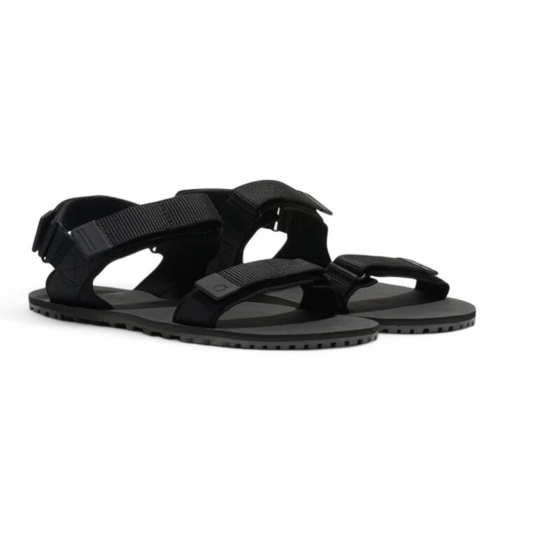 Xero Shoes D-Trail Sandal black men's