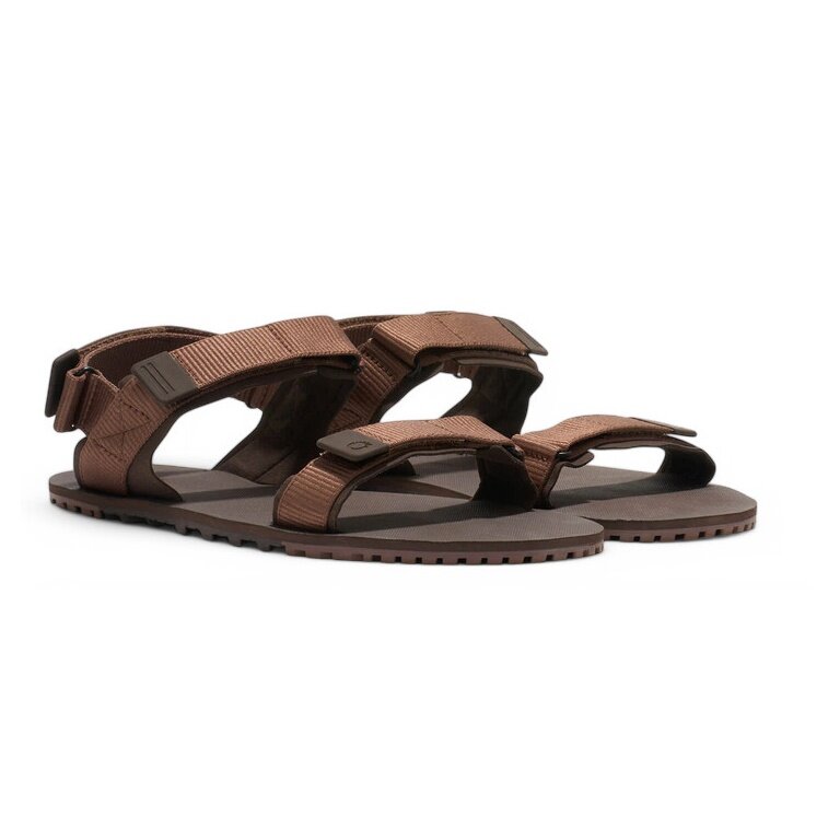 Xero Shoes D-Trail Sandal brown men's