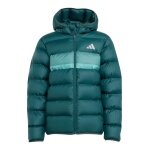 adidas Winter Jacket J SD (warm, synthetic insulation) aurora ivy green children