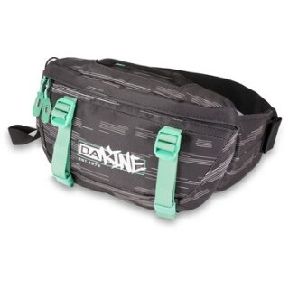 Dakine Hot Laps Waist Bag 1 Litre VANDAL grey