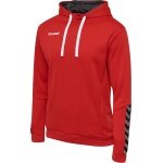 hummel Sport Hoodie hmlAUTHENTIC Poly Hoodie (knitted polyester) with hood red Men