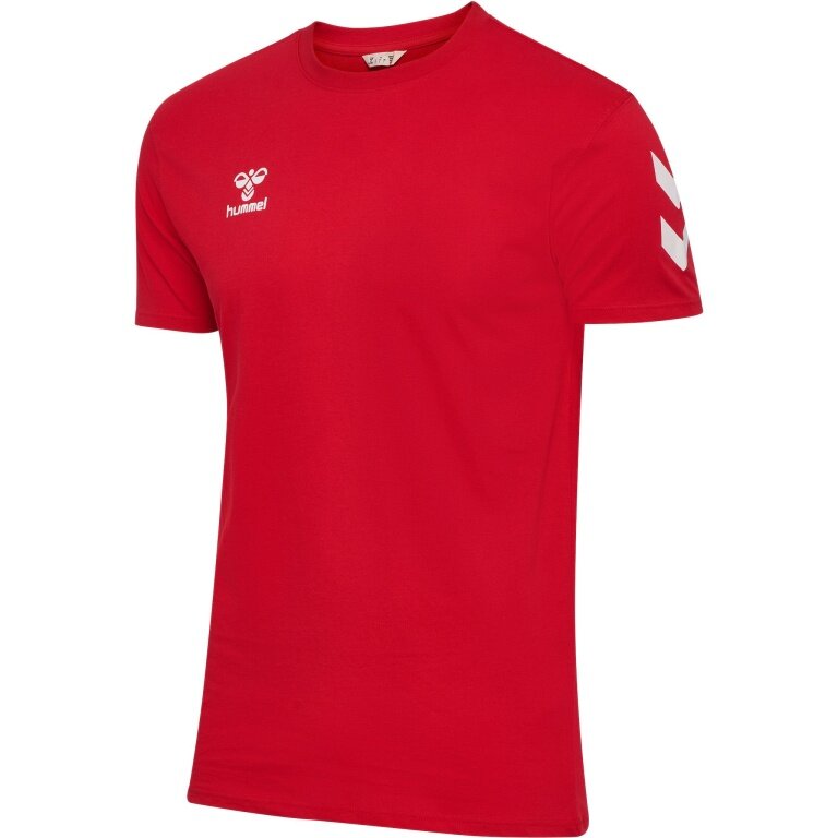 Hummel Sport T-shirt hmlGO 2.0 Chevron (cotton) red men's