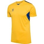 Hummel Sport T-shirt hmlAUTHENTIC Jersey (100% Polyester) Short Sleeve Yellow/Blue Men's