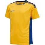 hummel Sport T-shirt hmlAUTHENTIC Poly Jersey (light jersey fabric) Short sleeve yellow/blue Children